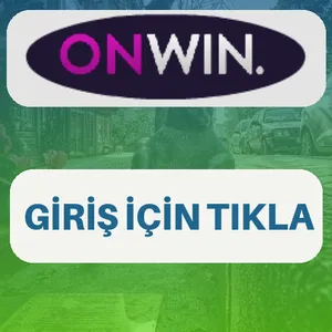 Onwin giriş